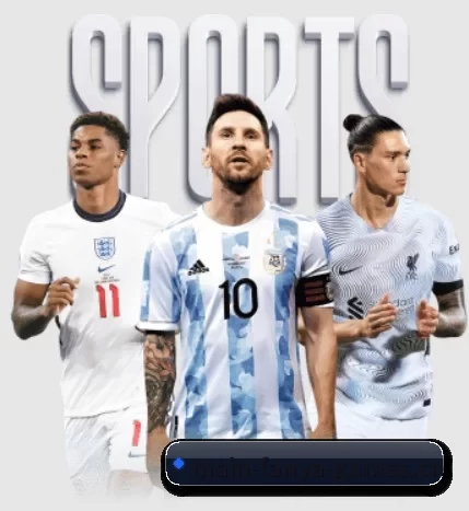 五大服务分区,信息按项目分类 - FANYAESPORTS